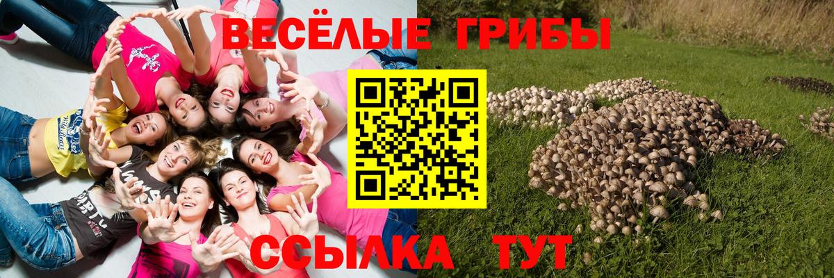 Галлюциногенные грибы ЛСД Камень-на-Оби
