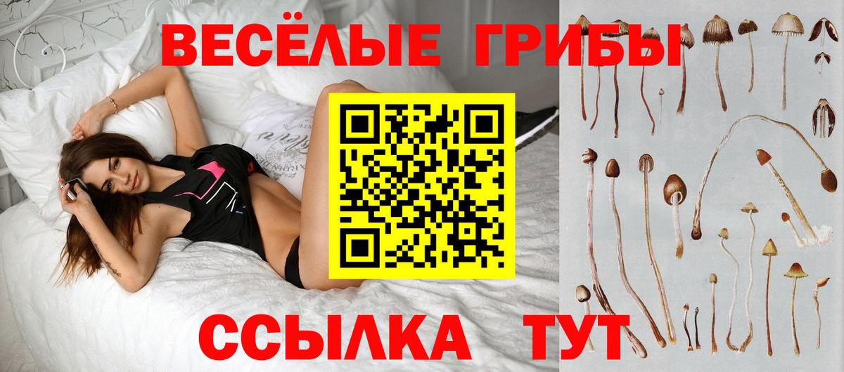 Камень-на-Оби  Псилоцибиновые грибы MAGIC MUSHROOMS  Псилоцибиновые грибы GOLDEN TEACHER  Вход с VPN 